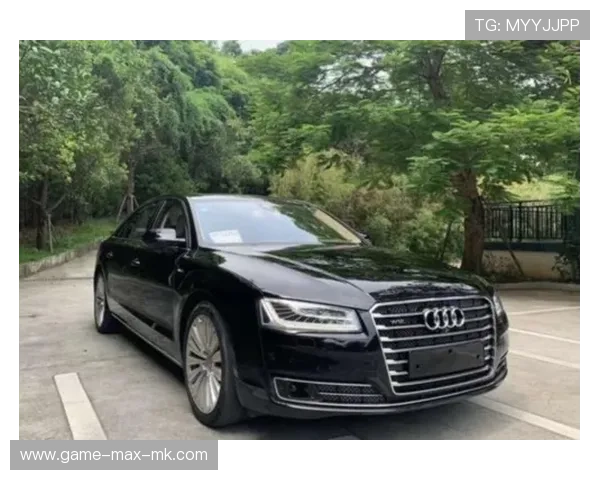 沉稳如奥迪A8，多特飙得像特斯拉Plaid！，多特是什么意思